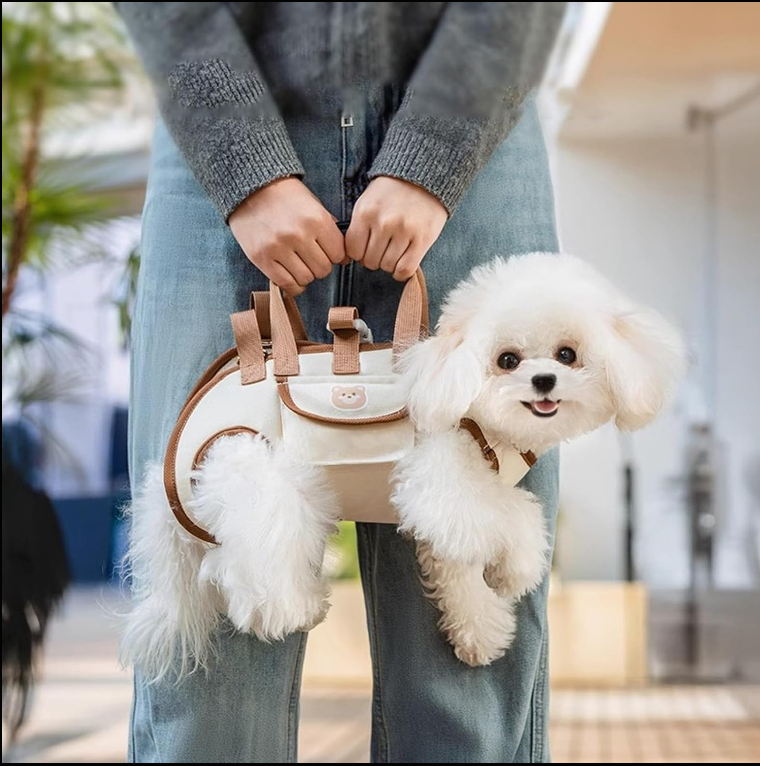 Temonica Pet Carrier Çanta – Kedi & Köpek İçin Premium El Taşıyıcısı